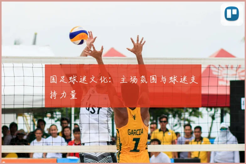 国足球迷文化:主场氛围与球迷支持力量