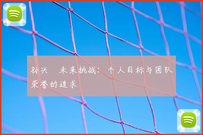 孙兴慜未来挑战:个人目标与团队荣誉的追求