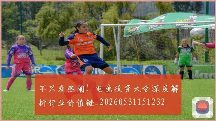 不只看热闹!电竞投资大会深度解析行业价值链_20260531151232