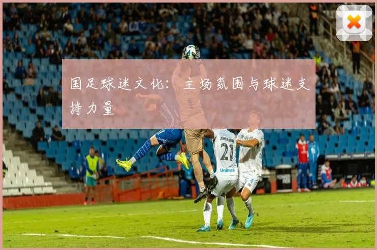 国足球迷文化:主场氛围与球迷支持力量