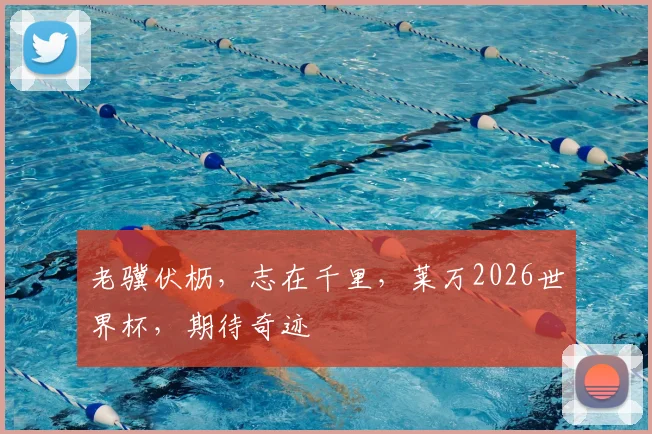 老骥伏枥,志在千里,莱万2026世界杯,期待奇迹