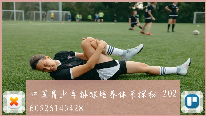中国青少年排球培养体系探秘_20260526143428